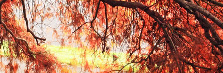 ddos压力在线测试平台