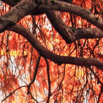 小黑ddos压力测试平台