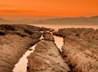 DDOS在线压力测试